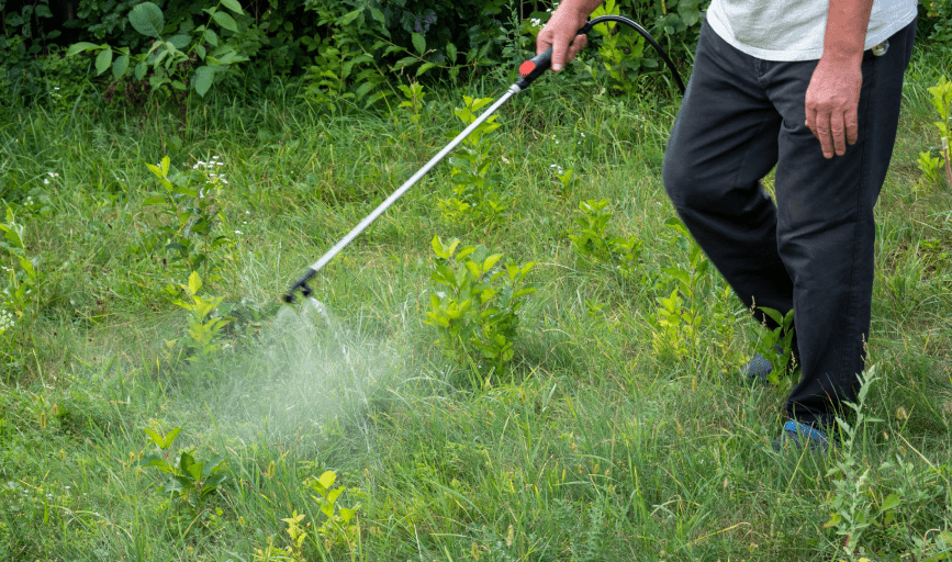 LAWN MAINTENANCE